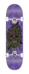 StrangeLove Purple Skunk 'Reef Orlando' 420 | X 32.125" (WB: 14.25") x Venom Custom Complete Skateboard - 8.5"