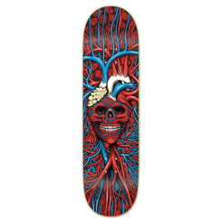 StrangeLove 'Heart Skull' x (WB: ) Sean Cliver Skateboard Deck - 8.375" - Skatewarehouse.co.uk