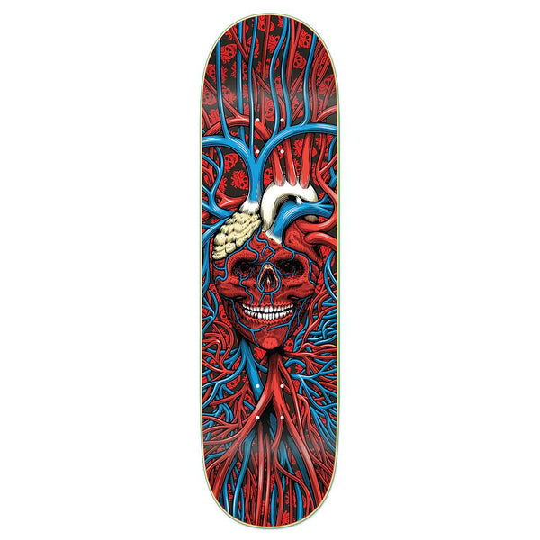 StrangeLove 'Heart Skull' x (WB: ) Sean Cliver Skateboard Deck - 8.375