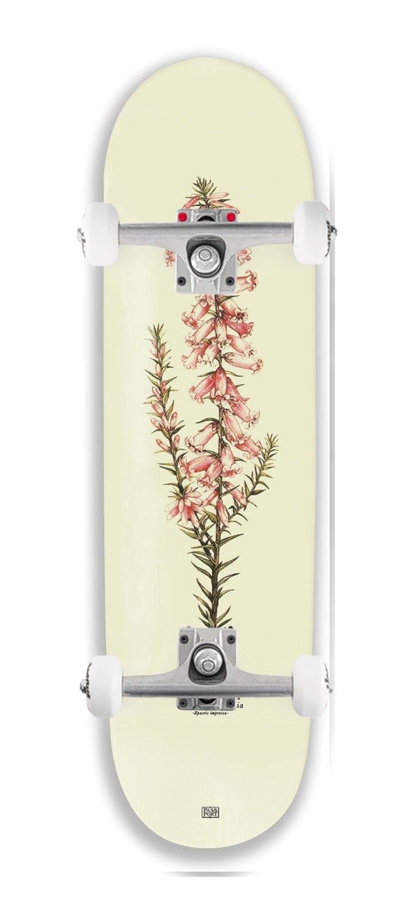 Pass~Port Pink Heath Reissue Callum x Venom Custom Complete Skateboard - 8.25