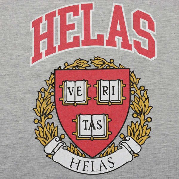 Veritas Tee (Heather Grey)