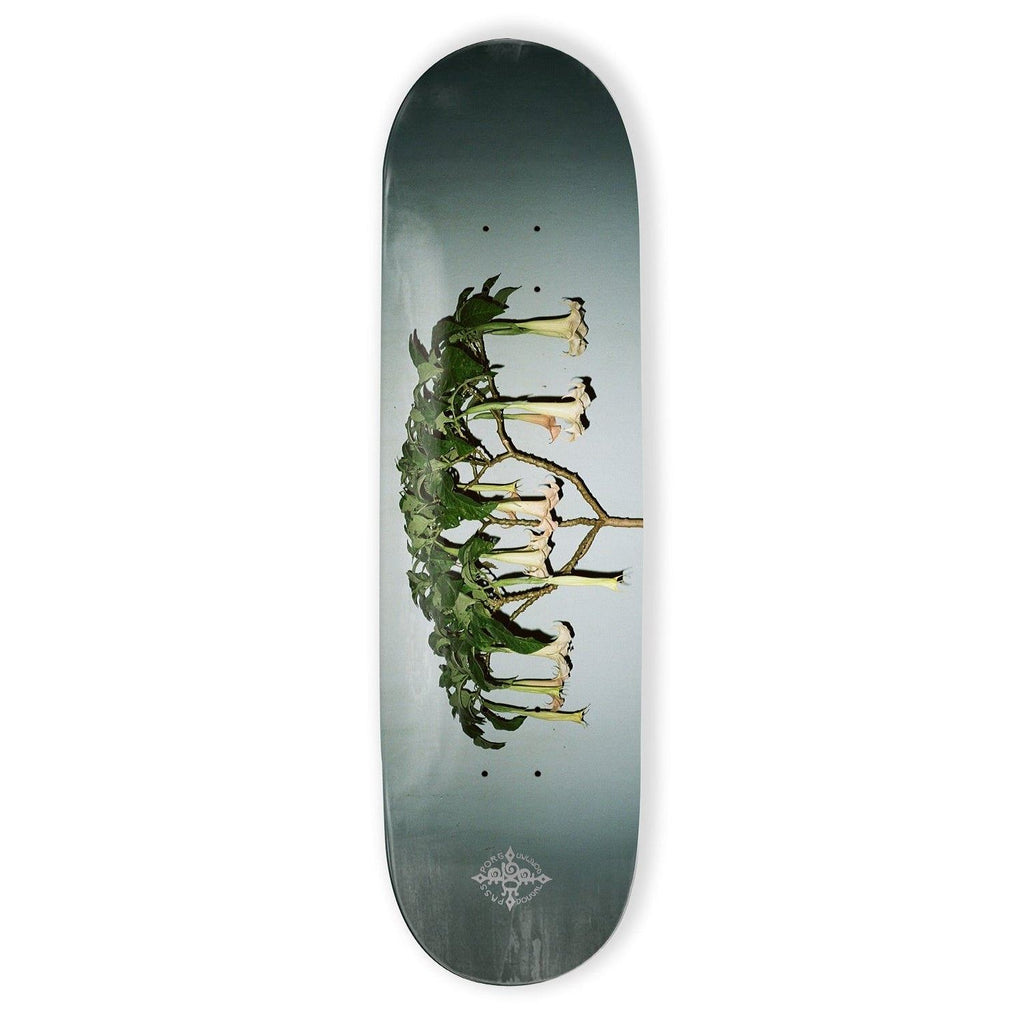 Pass~Port D.G Series Angel Trumpets Skateboard Deck - 8.125"