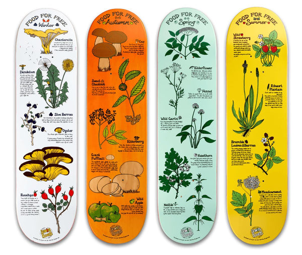 Drawing Boards Food For Free Series - Spring Skateboard Deck - 8.0