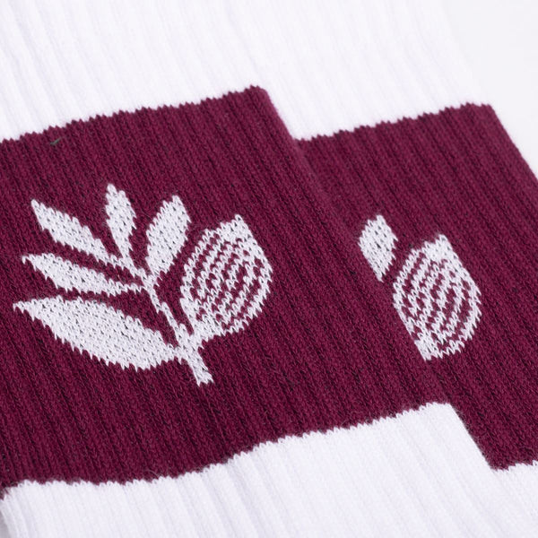 Magenta Stripe Socks White / Burgundy