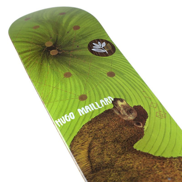 Magenta Hugo Maillard Camel Zoo Serie Board  Skateboard Deck - 8.5