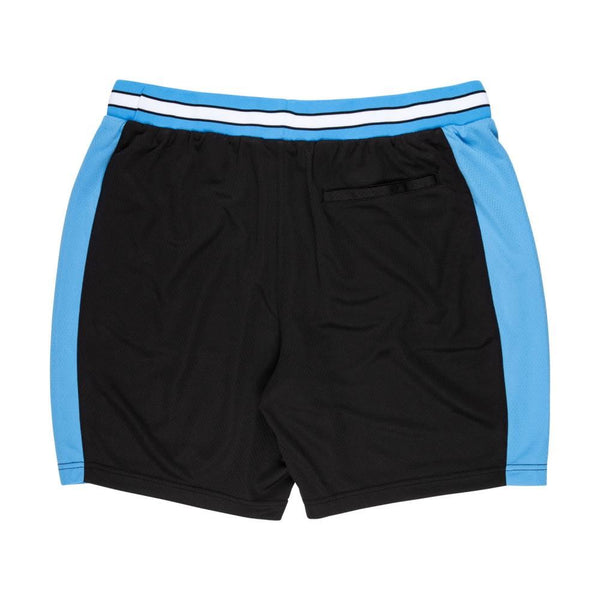Santa Cruz Mesh Shorts TTE Worldwide Mesh Short - Black - Skatewarehouse.co.uk