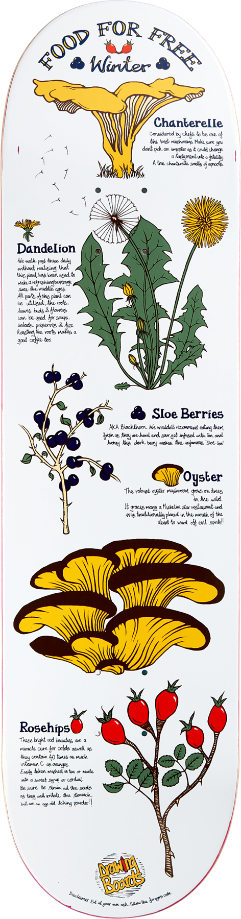 Drawing Boards Winter Skateboard Deck - 8.25