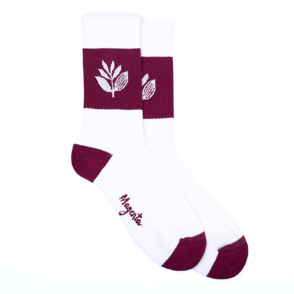 Magenta Stripe Socks White / Burgundy