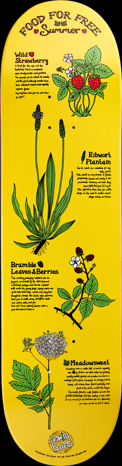 Drawing Boards Summer Skateboard Deck - 8.25