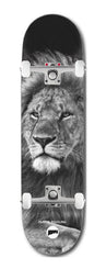 HOPPS Dustin Eggeling 'Lion' x Venom Custom Complete Skateboard - 7.75"