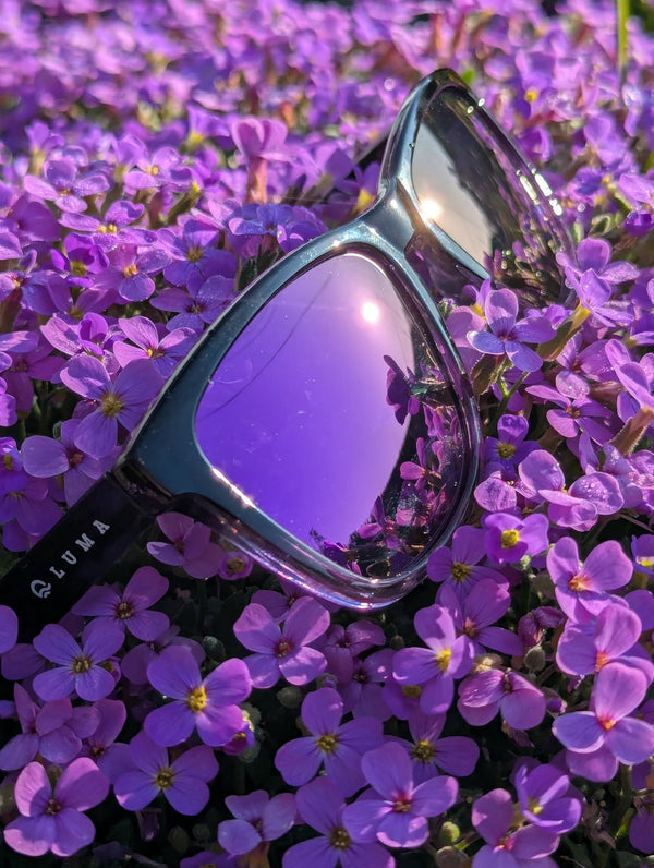 Luma Harlyn Sunglasses - Purple - Skatewarehouse.co.uk