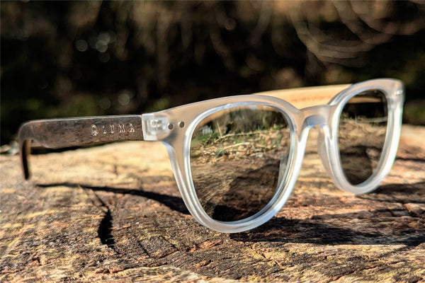 Luma Holywell Sunglasses - Clear - Skatewarehouse.co.uk