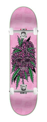 StrangeLove 'Starburst' 420 | Timmy Johnson x 32" (WB: 14.125") x Venom Custom Complete Skateboard - 8.25"