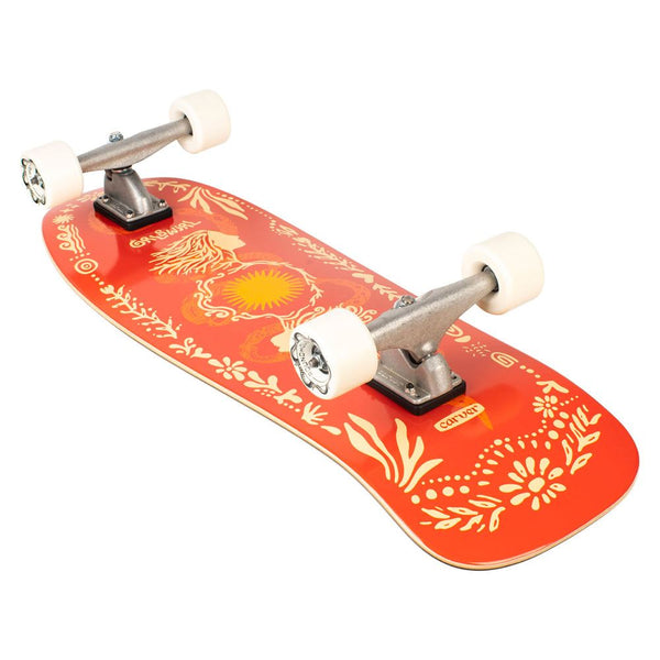 Carver Skateboards 31