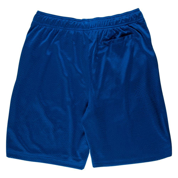 Santa Cruz Shorts Opus Dot Mesh Short - Blue - Skatewarehouse.co.uk