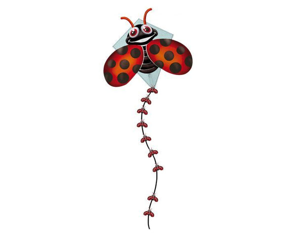 EOLO PopUp Kite Ladybug Toy