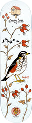 Drawing Boards Birds Series - Redwing Skateboard Deck - 8.5"