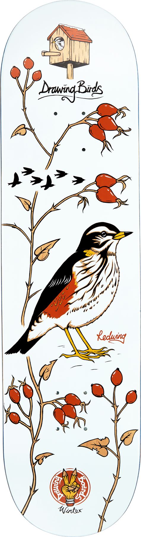Drawing Boards Birds Series - Redwing Skateboard Deck - 8.5