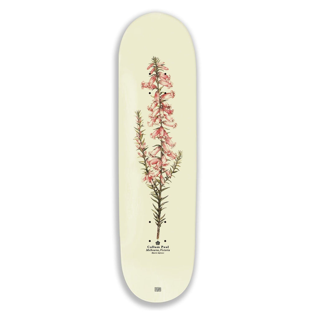 Pass~Port Pink Heath Reissue Callum Skateboard Deck - 8.25"