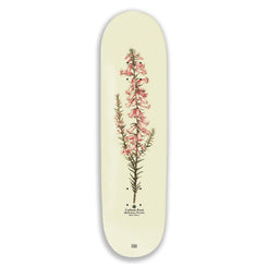 Pass~Port Pink Heath Reissue Callum Skateboard Deck - 8.25"