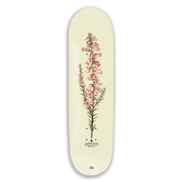 Pass~Port Pink Heath Reissue Callum Skateboard Deck - 8.25