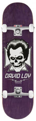 Birdhouse Pro Loy Skull Custom Complete Skateboard - 8.38"