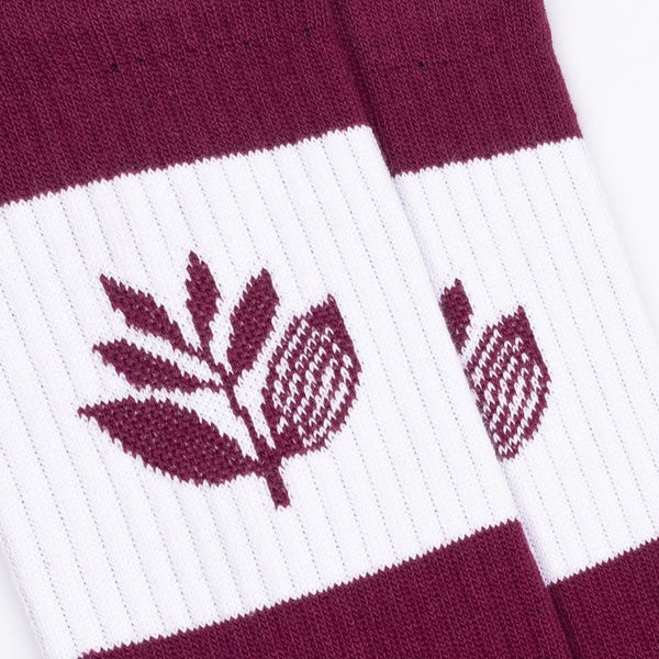 Magenta Stripe Socks Burgundy / White