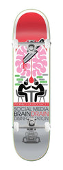 StrangeLove 'Brain Drain' x 31.25 (WB: 14.0) - Artwork by Don Pendleton x Venom Custom Complete Skateboard - 7.75"