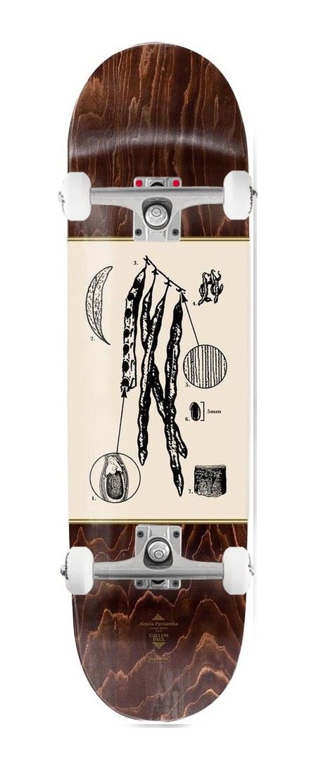Pass~Port Pro Series (Callum - Acacia) x Venom Custom Complete Skateboard - 8.25