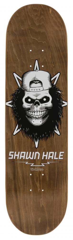 Birdhouse Pro Hale Skull Custom Complete Skateboard - 8.5