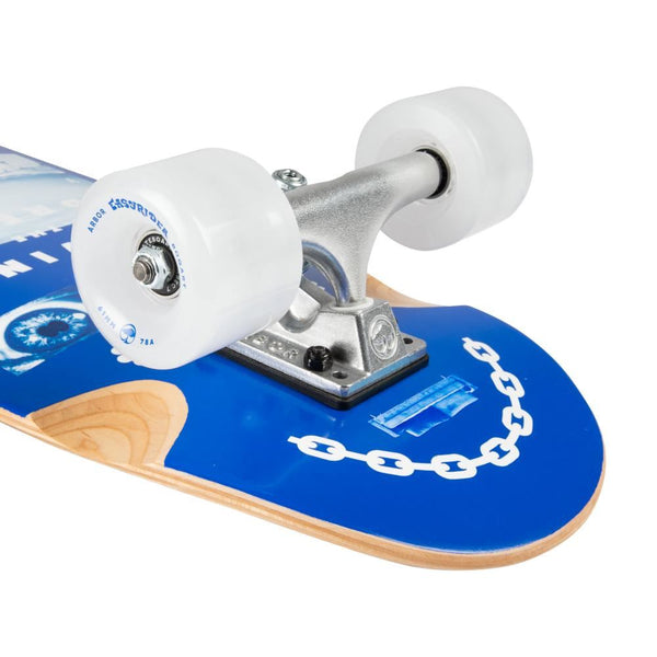 Arbor Venice Pilsner - Daydream Complete Cruiser - 28.75