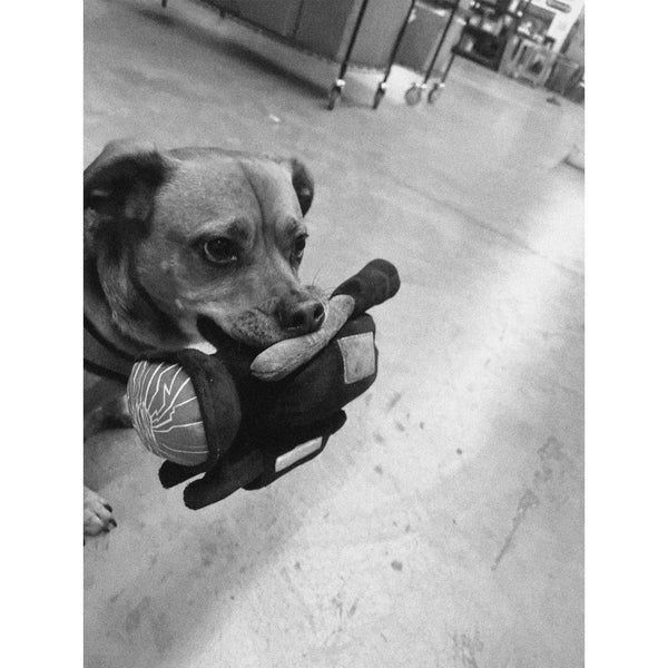 WKND HPX Dog Toy Plushie