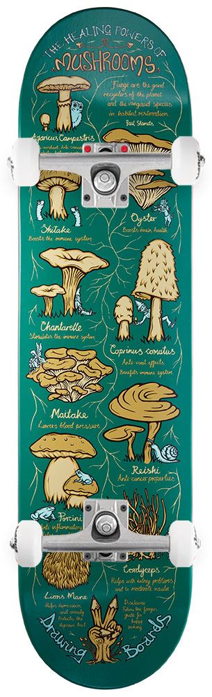 Drawing Boards Shroom Custom Complete Skateboard - 8.5