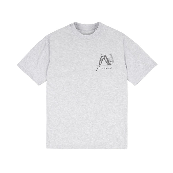 Forecast Eko / Berol Meltdown 'CHRONOFLOW' Tee Grey - Skatewarehouse.co.uk