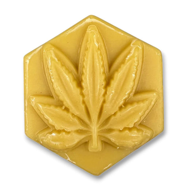 Ganj Wax Chronnoiseur Range Wax - Small (Gold) Accessories - One Size