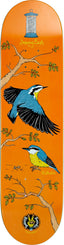 Drawing Boards Birds Series - Nuthatch Skateboard Deck - 8.5"
