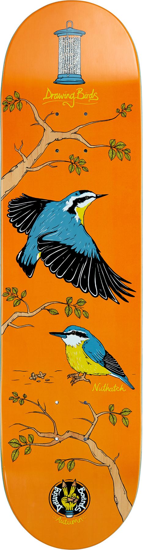 Drawing Boards Birds Series - Nuthatch Skateboard Deck - 8.5