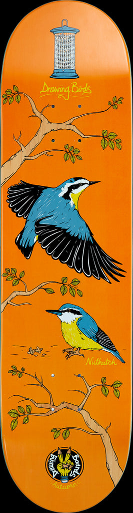 Drawing Boards Nuthatch Skateboard Deck - 8.5" - Skatewarehouse.co.uk