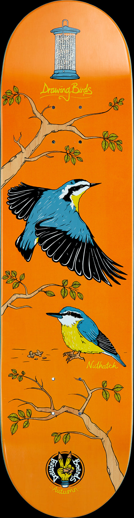 Drawing Boards Nuthatch Skateboard Deck - 8.5