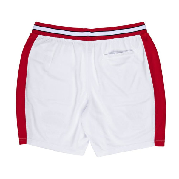 Santa Cruz Mesh Shorts TTE Worldwide - White - Skatewarehouse.co.uk
