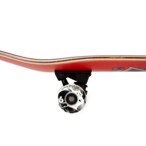 Birdhouse Stage 3 Hawk Skull 2 Complete Skateboard - 8.25