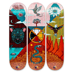 Drawing Boards The Medicine Wheel Set of 3 Skateboard Decks - 8.25