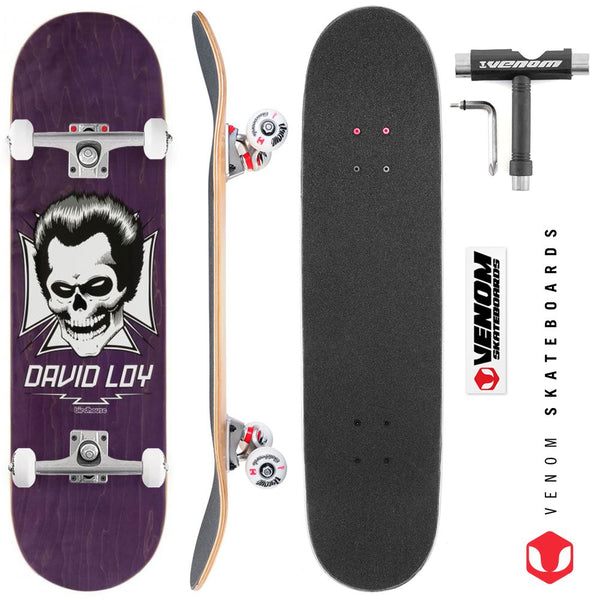 Birdhouse Pro Loy Skull Custom Complete Skateboard - 8.38