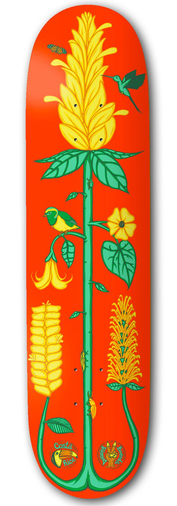 Drawing Boards Costa Rica Golden Shrimp Skateboard Deck - 8.5