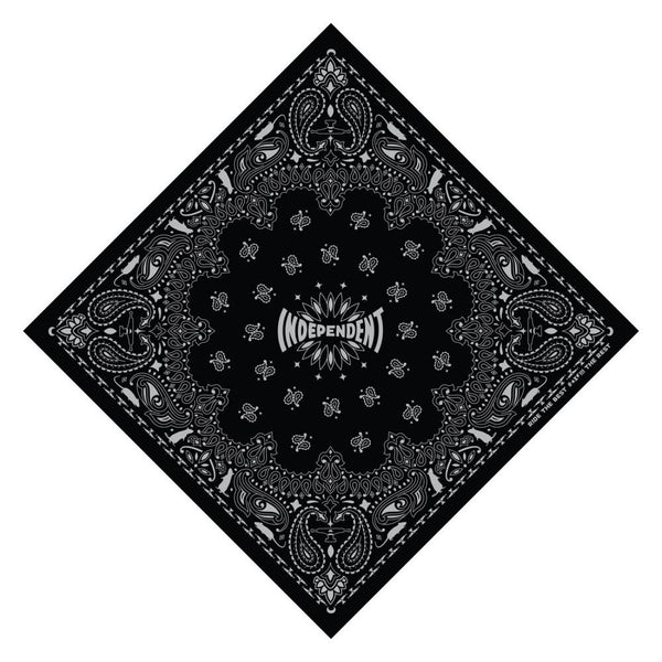 Santa Cruz Pro Delfino Skate Rat Skateboard Deck - 8.25