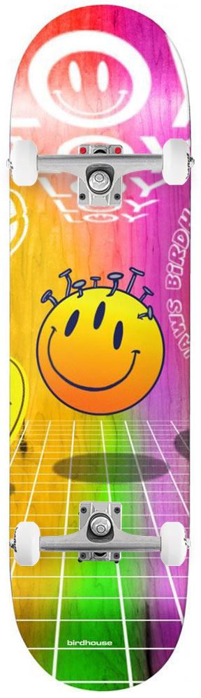 Birdhouse Pro Loy Ravers Custom Complete Skateboard - 8.25
