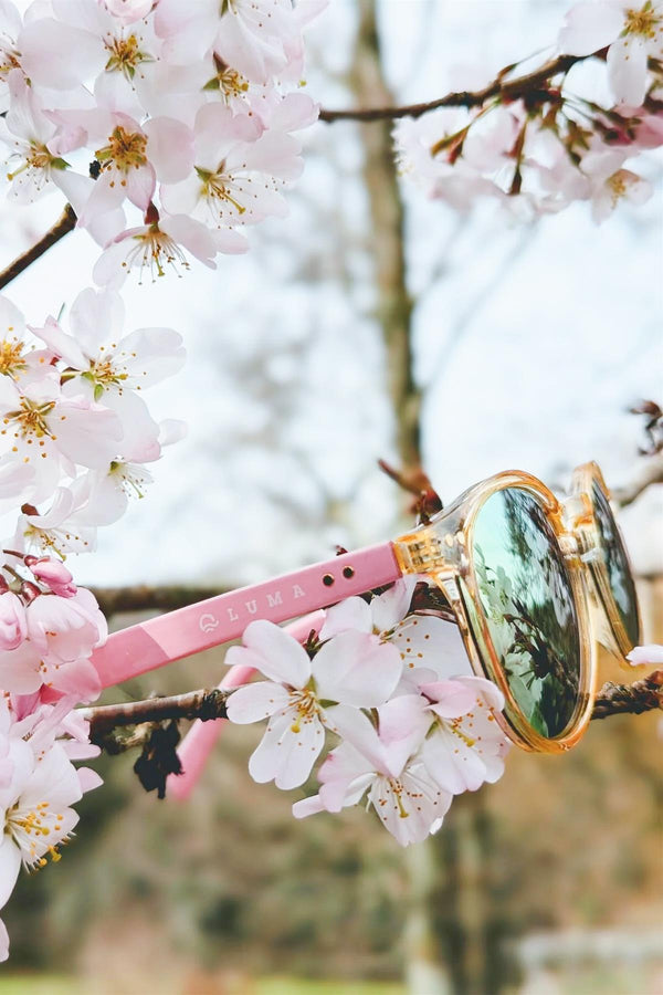 Luma Fowey Sunglasses - Pink - Skatewarehouse.co.uk