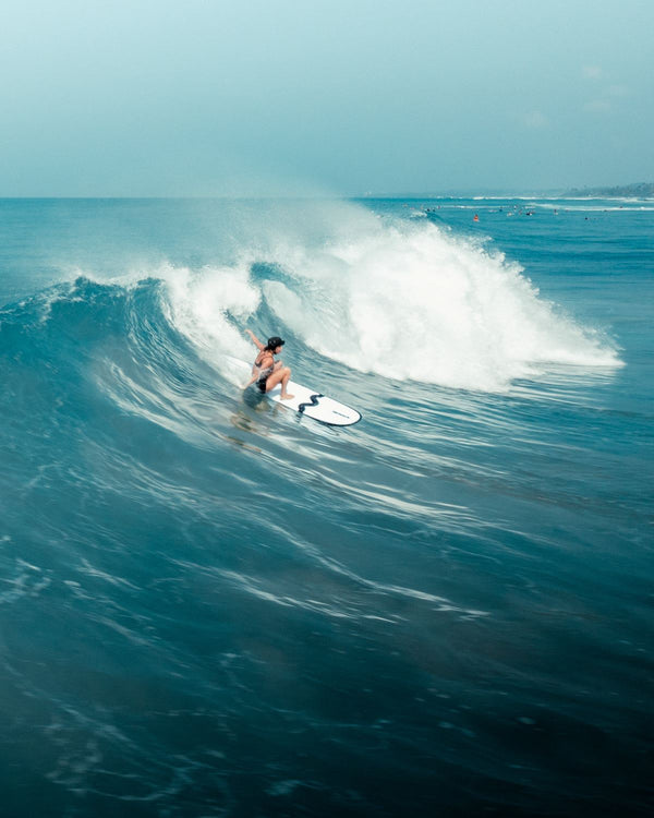NewaveSurf Newave - 7'6" Mini-Mal + 9'0" Longboard + Free Boardbag