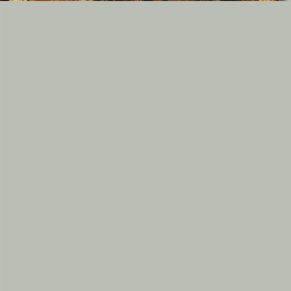 Realtree Cromer Pant (Realtree)