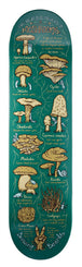 Drawing Boards Healing Series - Mushroom Skateboard Deck - 8.5"